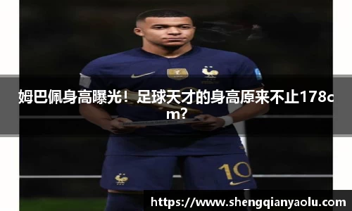 半岛·BOB官方网站