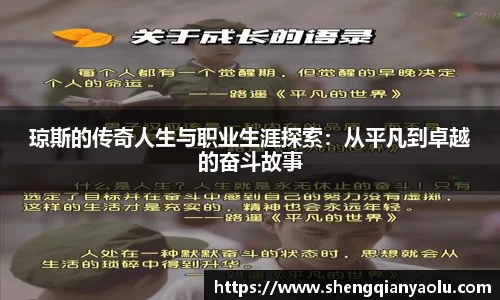 半岛bob·官方网站